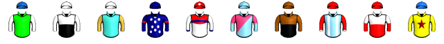 Runner silk