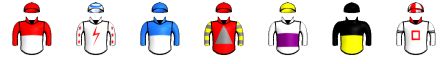 Runner silk
