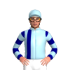 Jockey Silk