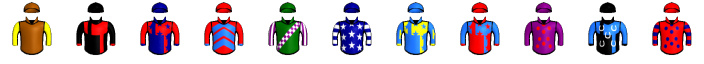 Runner silk