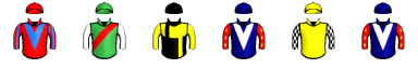 Runner silk