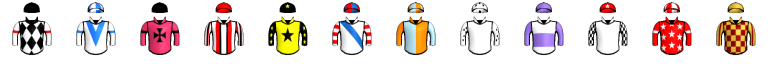 Runner silk
