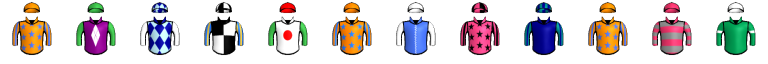 Runner silk