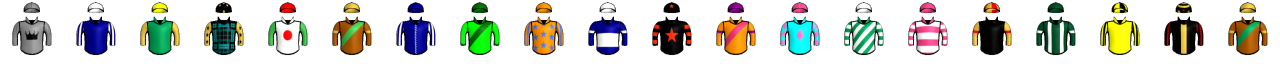 Runner silk