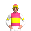 Jockey Silk
