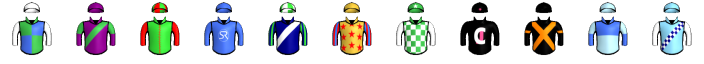 Runner silk