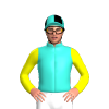 Jockey Silk