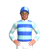Jockey Silk