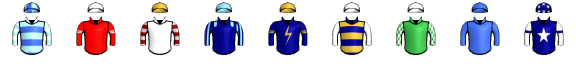 Runner silk