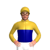 Jockey Silk