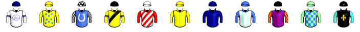 Runner silk