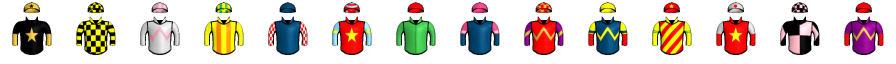 Runner silk