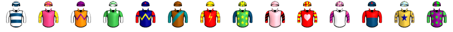 Runner silk