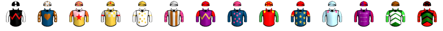 Runner silk