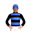 Jockey Silk
