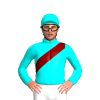 Jockey Silk