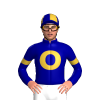 Jockey Silk
