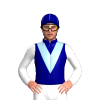Jockey Silk