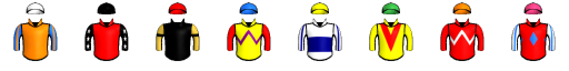 Runner silk