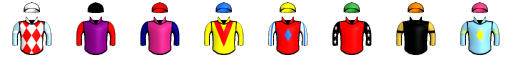 Runner silk