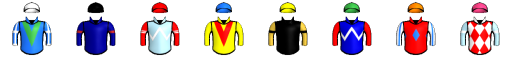 Runner silk
