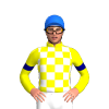Jockey Silk