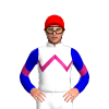 Jockey Silk