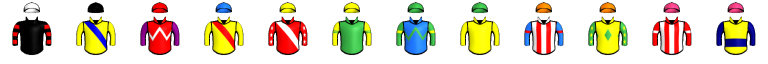 Runner silk