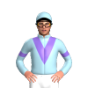 Jockey Silk