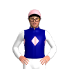 Jockey Silk
