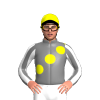Jockey Silk