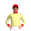 Jockey Silk