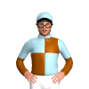 Jockey Silk