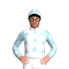 Jockey Silk