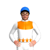 Jockey Silk