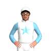 Jockey Silk
