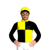Jockey Silk