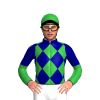 Jockey Silk