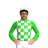 Jockey Silk
