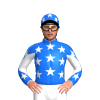 Jockey Silk