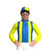 Jockey Silk