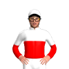 Jockey Silk