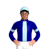 Jockey Silk