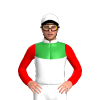 Jockey Silk