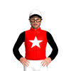 Jockey Silk