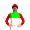 Jockey Silk