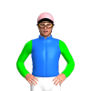 Jockey Silk