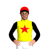 Jockey Silk