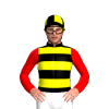 Jockey Silk