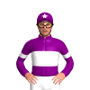 Jockey Silk